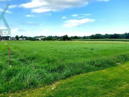 Działka budowlana Kowale gm. Skoczów, Dolny Bór