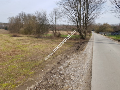 Borszyce gm. Kowiesy działka 11 128 m