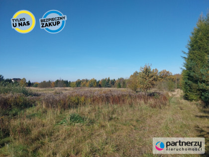 Działka Pomlewo ul. Szkolna