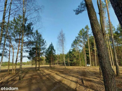 Rogóźno 1261m2 piękna działka blisko rzeki i lasu