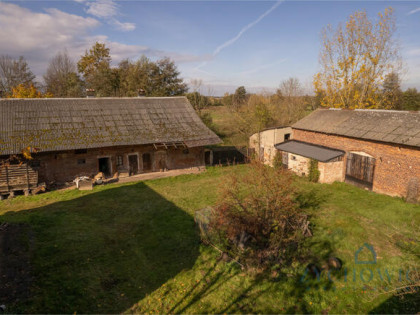 Działka rolna Dalborowice gm. Dziadowa Kłoda, Akacjowa