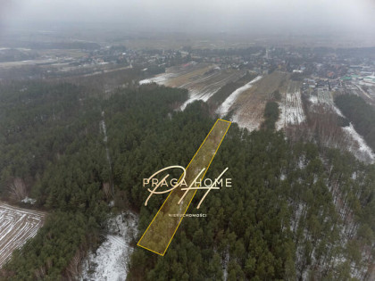 Działka leśna Wyśmierzyce,