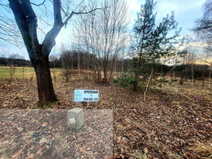 Na sprzedaż dwie sąsiadujące działki – Trzepnica