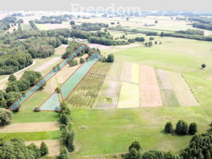 Kompleks gruntów 4,74 ha w gm. Kazanów