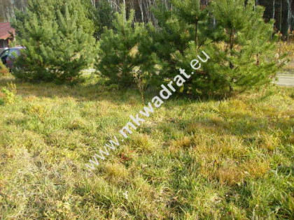 Działka w super lokalizacji!  - budynek 2-lokalowy