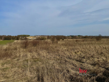 Działka inwestycyjna Rzeniszów gm. Koziegłowy, Długa