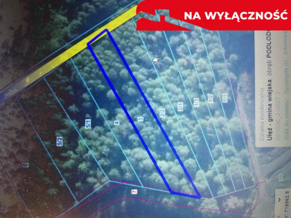 Trzy działki leśne (RL) w Podlodówce gm. Ułęż.
