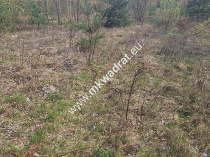 Ładna działka wśród nowej zabudowy Zalesie