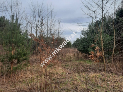 Żabia Wola Oddział dobra lokalizacja MPZP