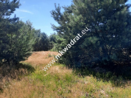 Działka linia WKD | Las | Media | Cisza i spokój | Otrębusy