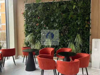 Lokal użytkowy Warszawa Śródmieście, Krakowskie Przedmieście