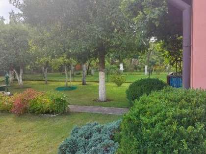 Działka ROD na Rządzu