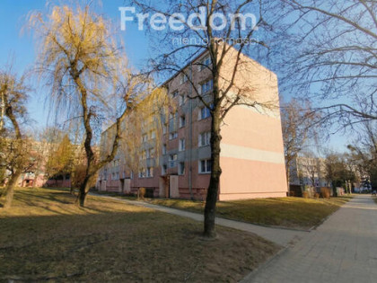 Małe mieszkanie, duże możliwości – Zarzew