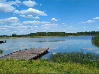 Działka Białasy gm. Szczutowo pow. sierpecki wz. mazowieckie