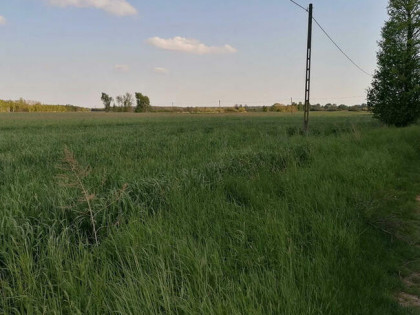 działka budowlana Zamoście gm. Strzelce Wlk. pow. Pajęczańsk