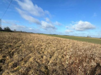 Działka Kościuszki