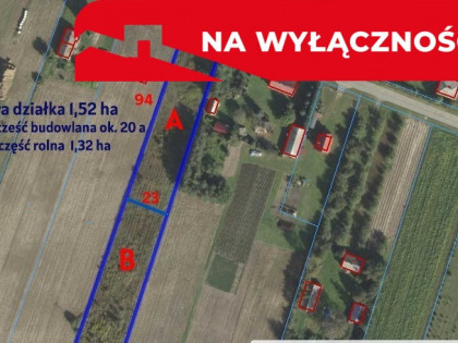 Działka rolno-budowlana 1,52 ha Dąbrowa gm. Ludwin