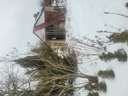 Nieruchomość - Ostrowiec Świętokrzyski