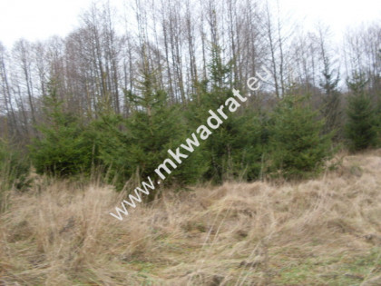 Działka Korabiewice