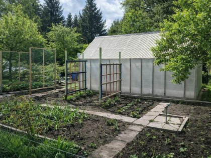 Działka rekreacyjna ROD przy ul.Bogusławskiego w Białymstoku