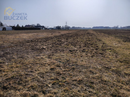 Działka Skarbikowo ul.  