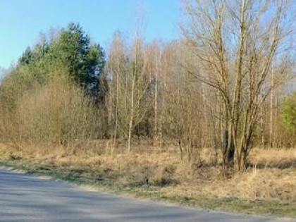 Duża działka budowlana 1964 m² – MPZP Wymysłów/Ostrowiec Św