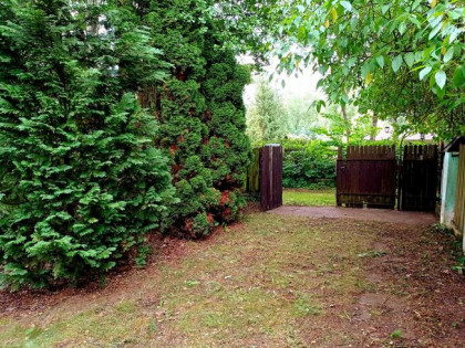 Dwie Działki Całoroczne Dwa Domy Mieszkalne pod lasem Okazja