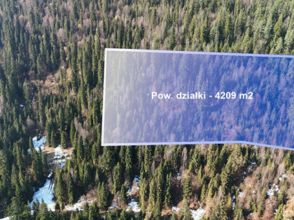 Działka leśna 4209 m² w Ostrowsku