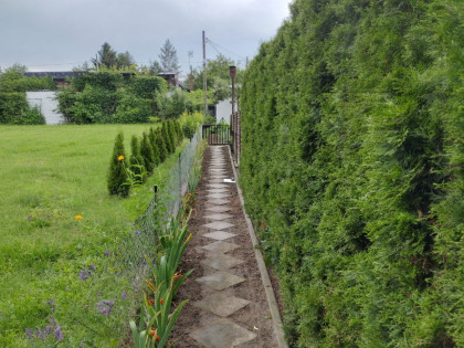 Działka ROD z domkiem – Aleksandrów Kujawski