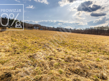 Budzów budowlana działka 3550 m2-idealna pod domy!