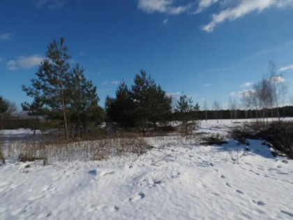 Budowlana Wieliszew ul.Modlińska