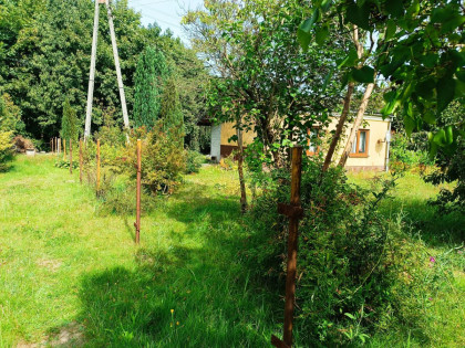 Dom Białaczów ul. Szkolna