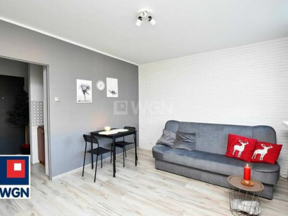 Mieszkanie - kawalerka 21m2 do wynajęcia Ino-ul. Łokietka