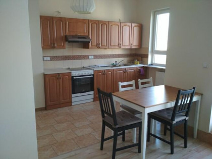 do wynajęcia atrakcyjne mieszkanie