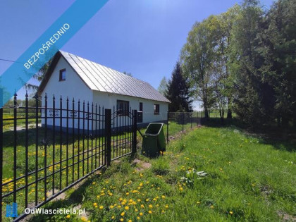 Siedlisko z klimatem nad Bugiem – 2 ha, dom po generalnym remoncie, stawy, prywatność