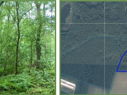 Działka Broczyna Broczyna