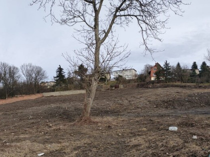 Przetarg ustny nieograniczony- Kalisz ul. Chmielna