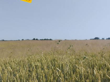 Działka budowlana Mogilany,