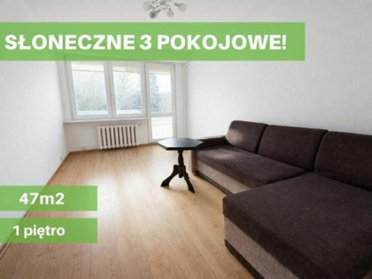 SŁONECZNE 3 POKOJOWE W DOSKONAŁEJ LOKALIZACJI!