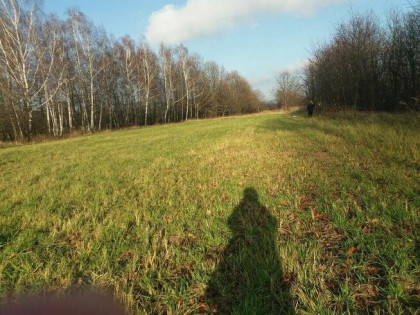 Działki budowlane Szczepańcowa