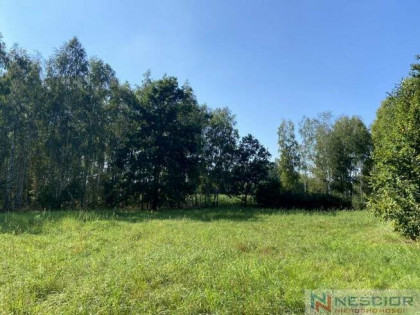 Atrakcyjna działka budowlana Gręzów