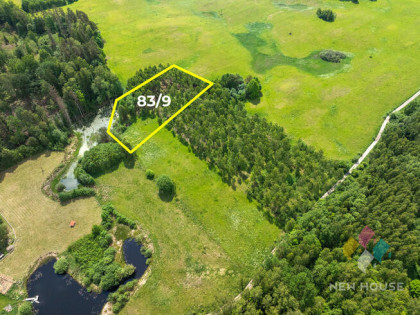 Działka w otoczeniu lasu, widok na staw