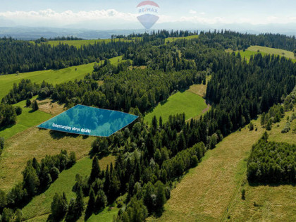 Działka rolno-leśna 7 362 m² | Sieniawa |