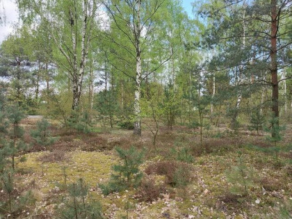 Działka budowlana na sprzedaż w Ostrzeszowie