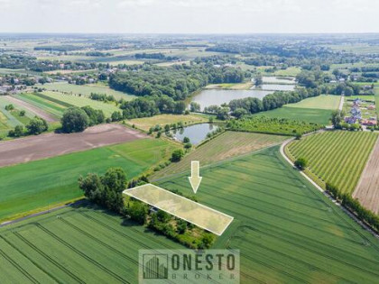 Dom Olesin gm. Kurów