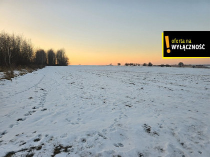 Działka Borzymów ul.  