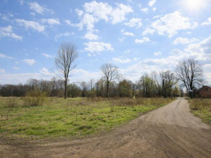 Działka inwestycyjna Malanów gm. Lutomiersk,