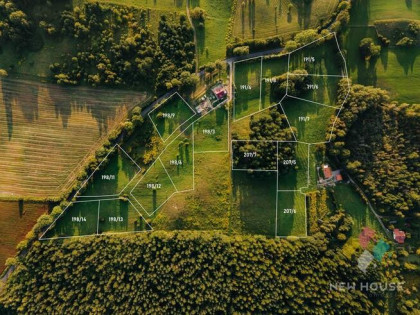 Kompleks działek  w otoczeniu lasu