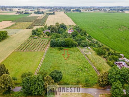 Działka inwestycyjna Nałęczów, Heleny i Kazimierza Dulębów