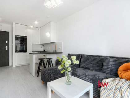 Mieszkanie Poznań gm. Poznań-Stare Miasto Winogrady, Wilczak